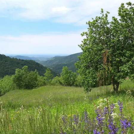 アパート Locazione Turistica Casa Ursic - Nat530 Stregna
